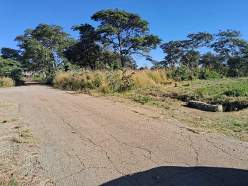 Stands & Residential Land