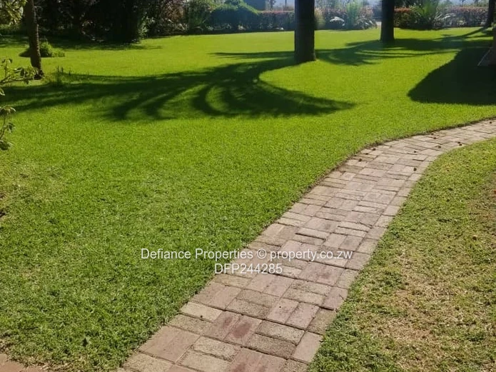 Investment opportunity 