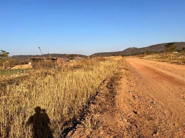 Stands & Residential Land