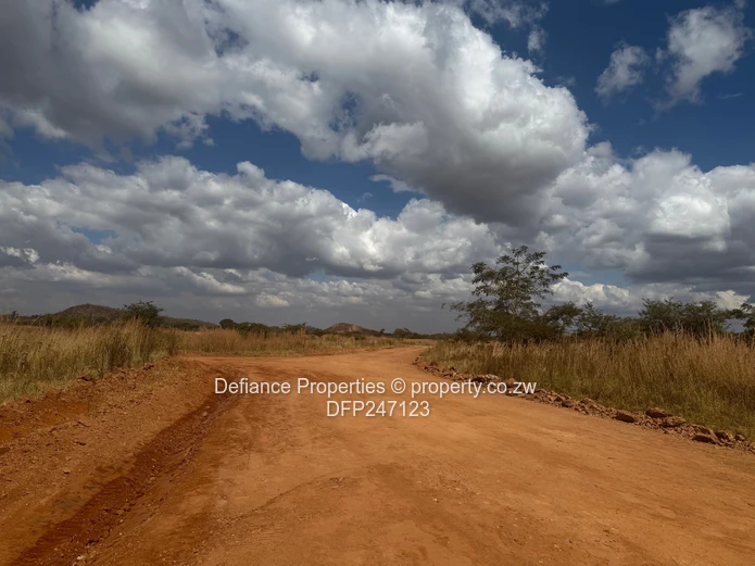 Terms Terms Terms Doornfontein