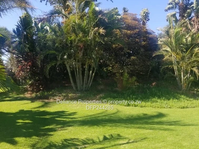 Investment opportunity 