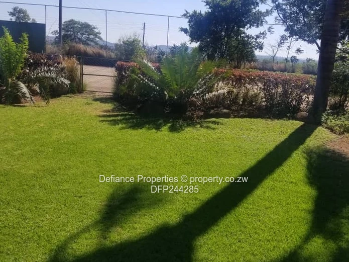 Investment opportunity 