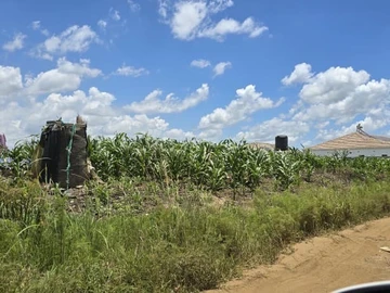 Stands & Residential Land