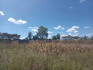 Land
