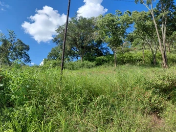 Land