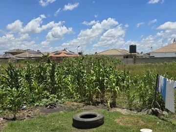 Stands & Residential Land