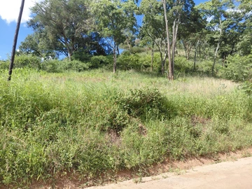 Land