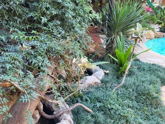 Investment opportunity 