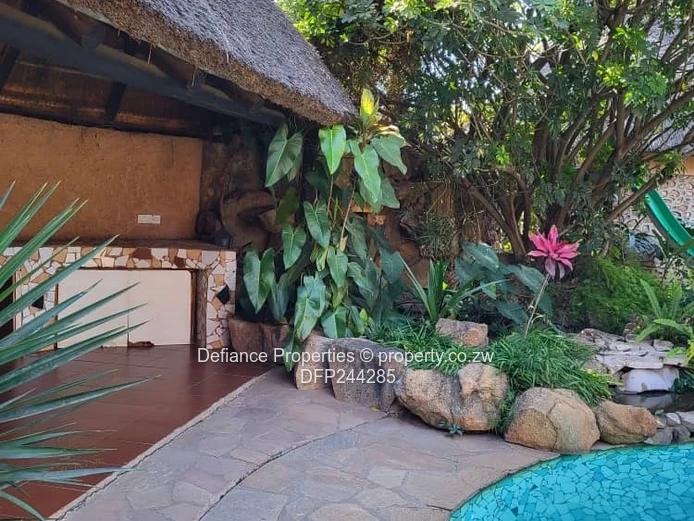 Investment opportunity 