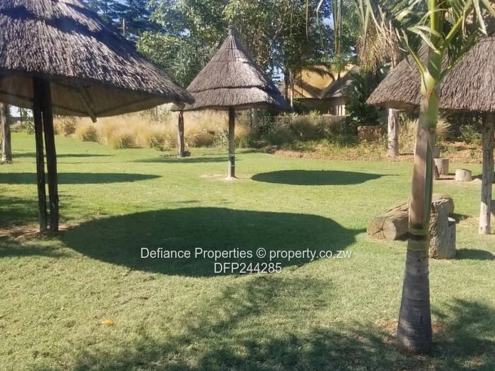 Investment opportunity 