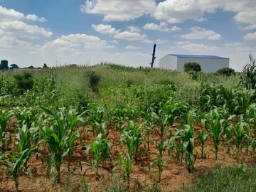 Commercial & Industrial Land